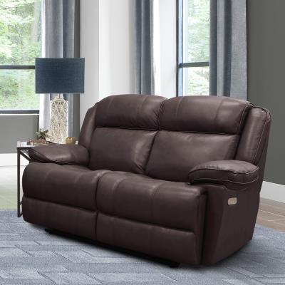 Eclipse Florence Brown Power Reclining Loveseat