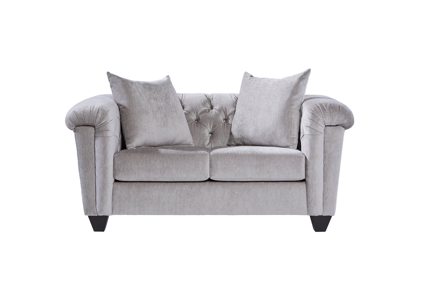 22900 - Lush Silver Loveseat