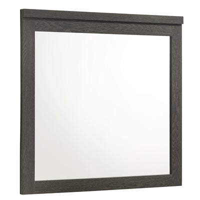 BE5032 MIRROR