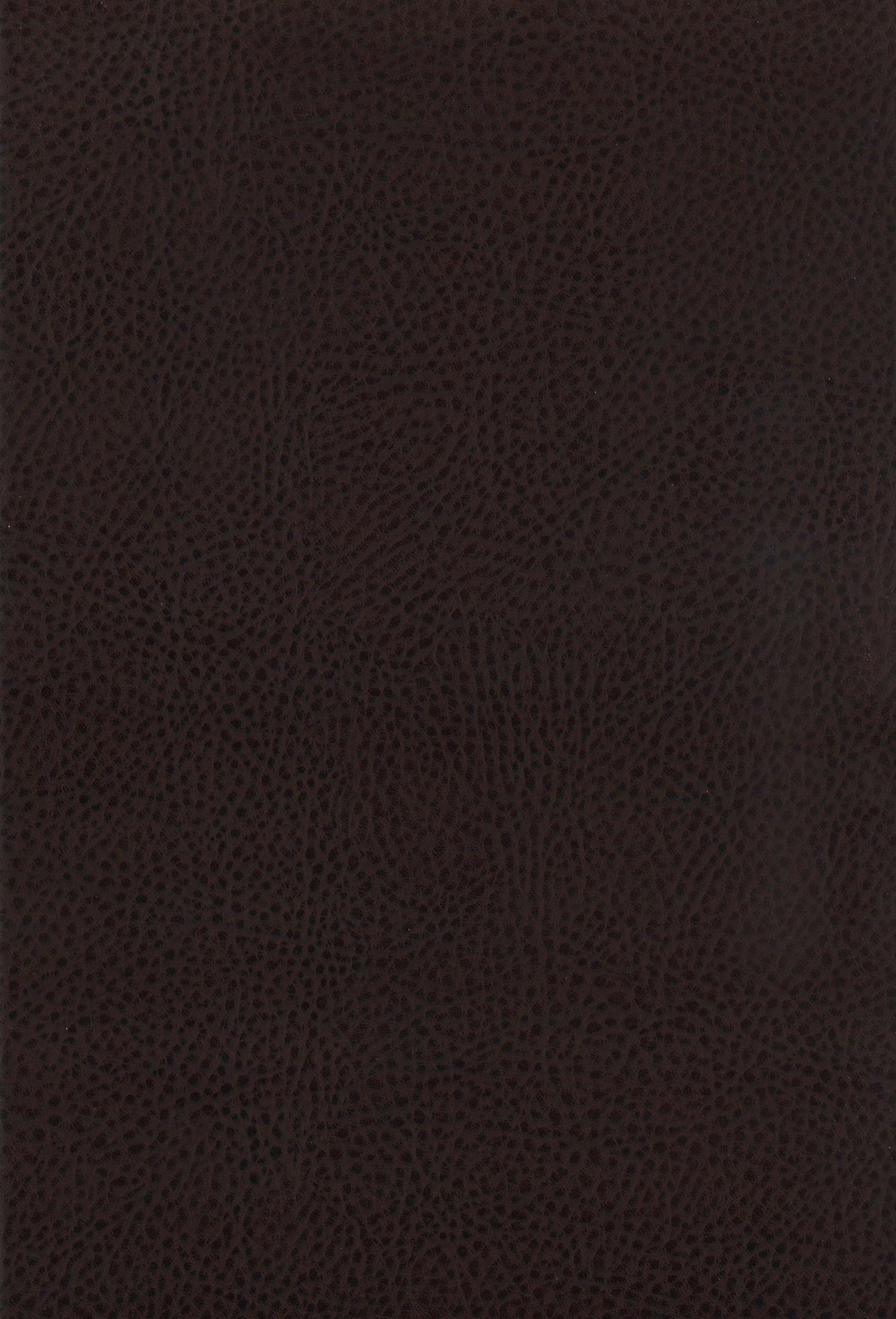 Dewey Upholstered Counter Height Chairs with Footrest (Set of 2) Brown and Walnut