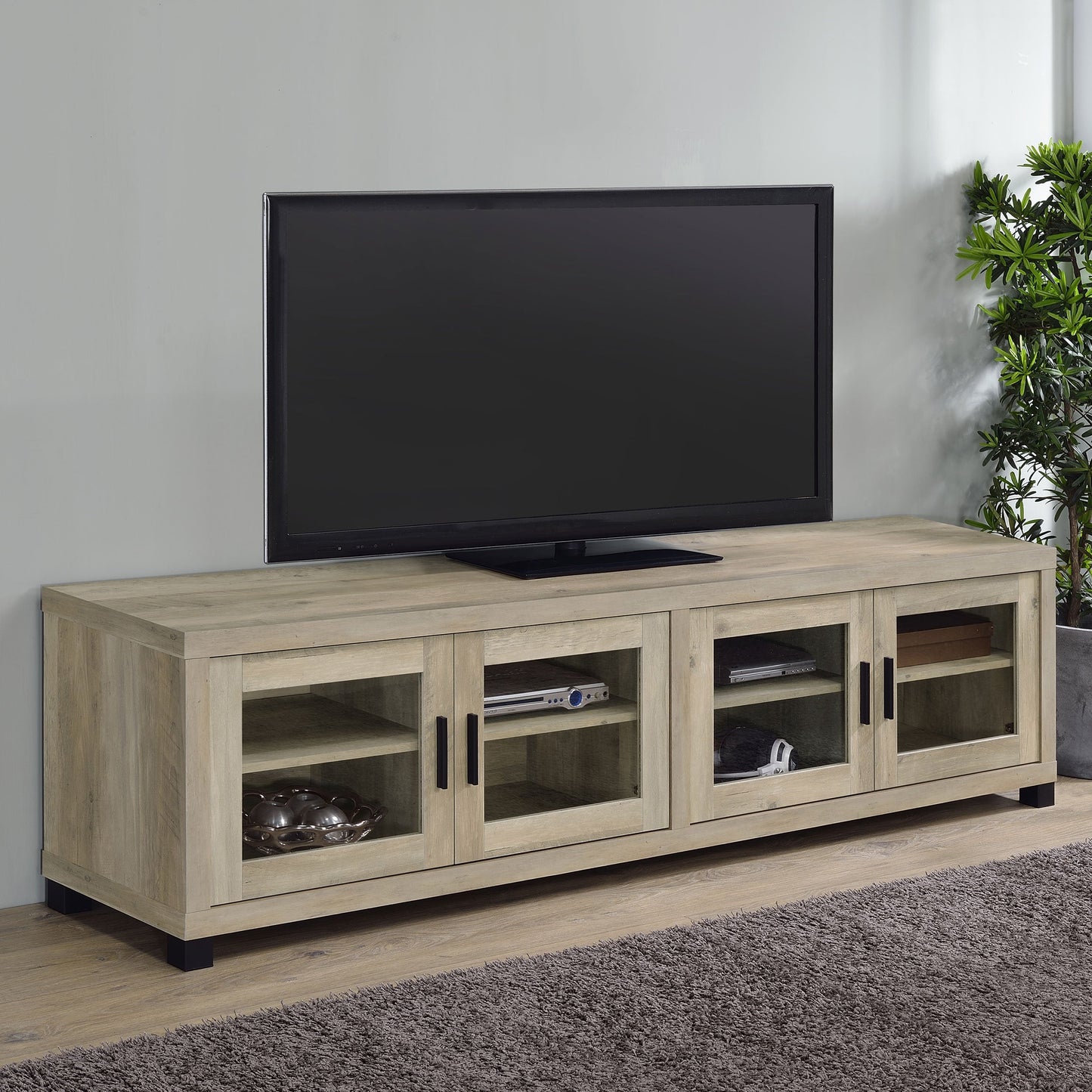 Sachin Rectangular TV Console with Glass Doors