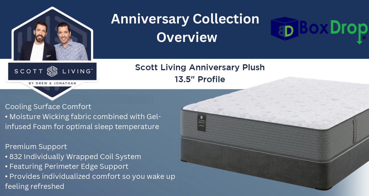 Anniversary Medium (5001612)