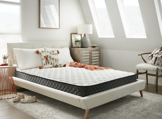 Barrington TT, Firm (10107)