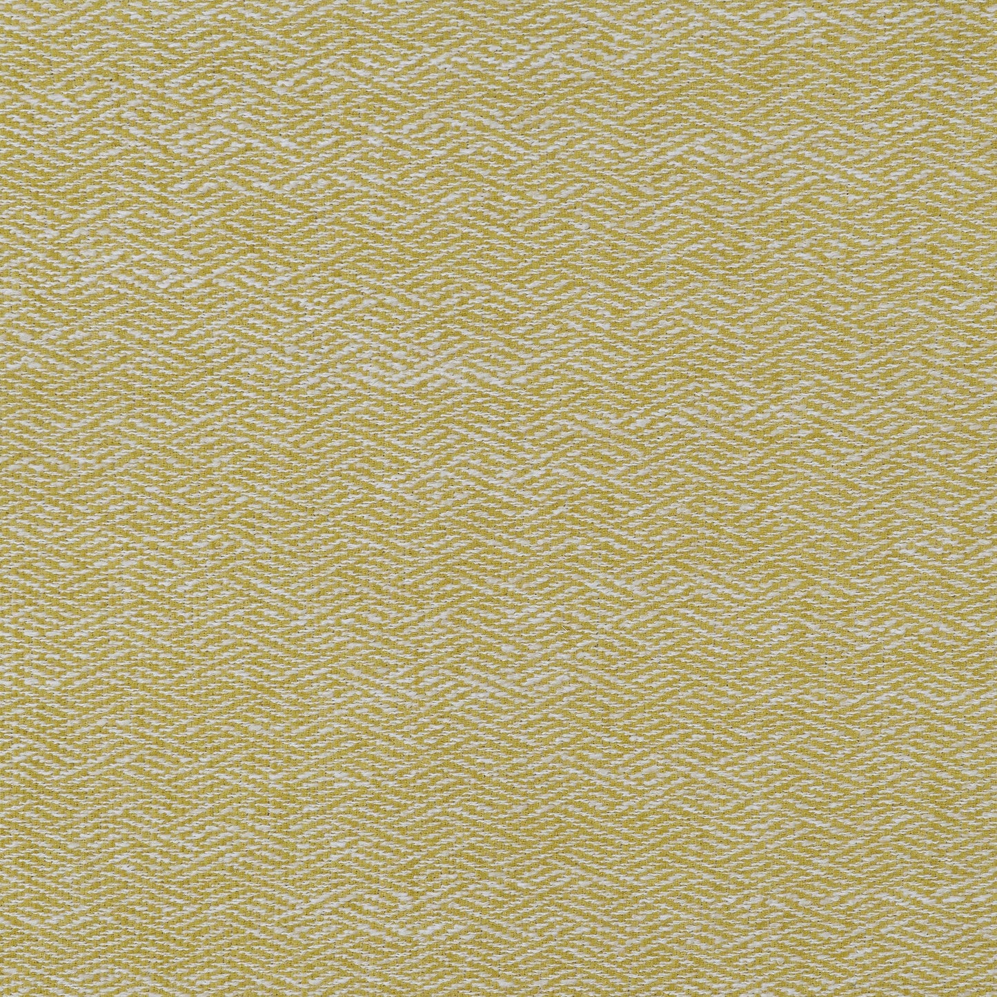 Darlene Upholstered Track Arms Accent Chair Lemon