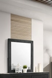 CADENCE MIRROR